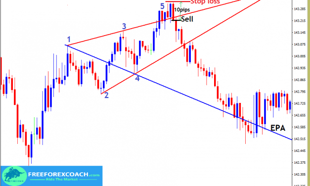 How to make Profits from the Wolfe Wave